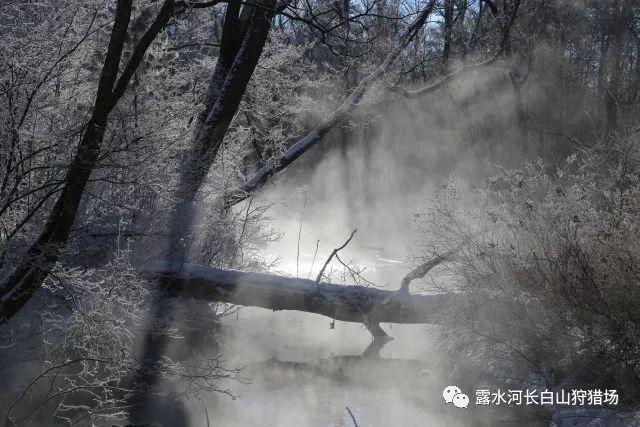 寻找遗失的珠宝盒